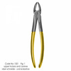 UK type extraction forceps for adult | DentArt