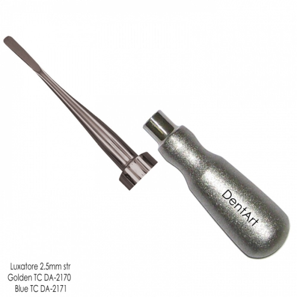 Root-Elevators-With-Eye-Style-Handle | DentArt