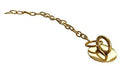 Classic Gold Eruption Chain| IOS
