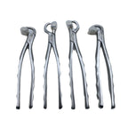 Physics Forceps Kit | EXLIN