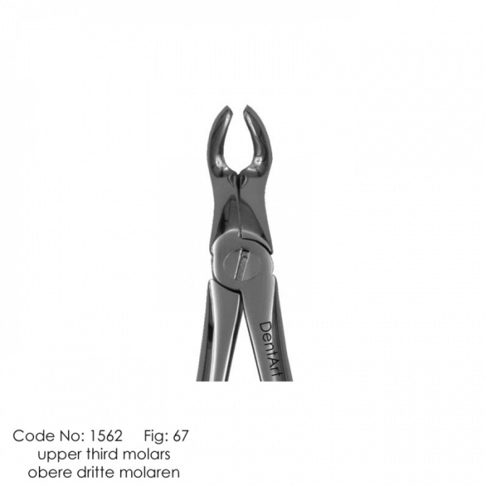 UK type extraction forceps for adult | DentArt