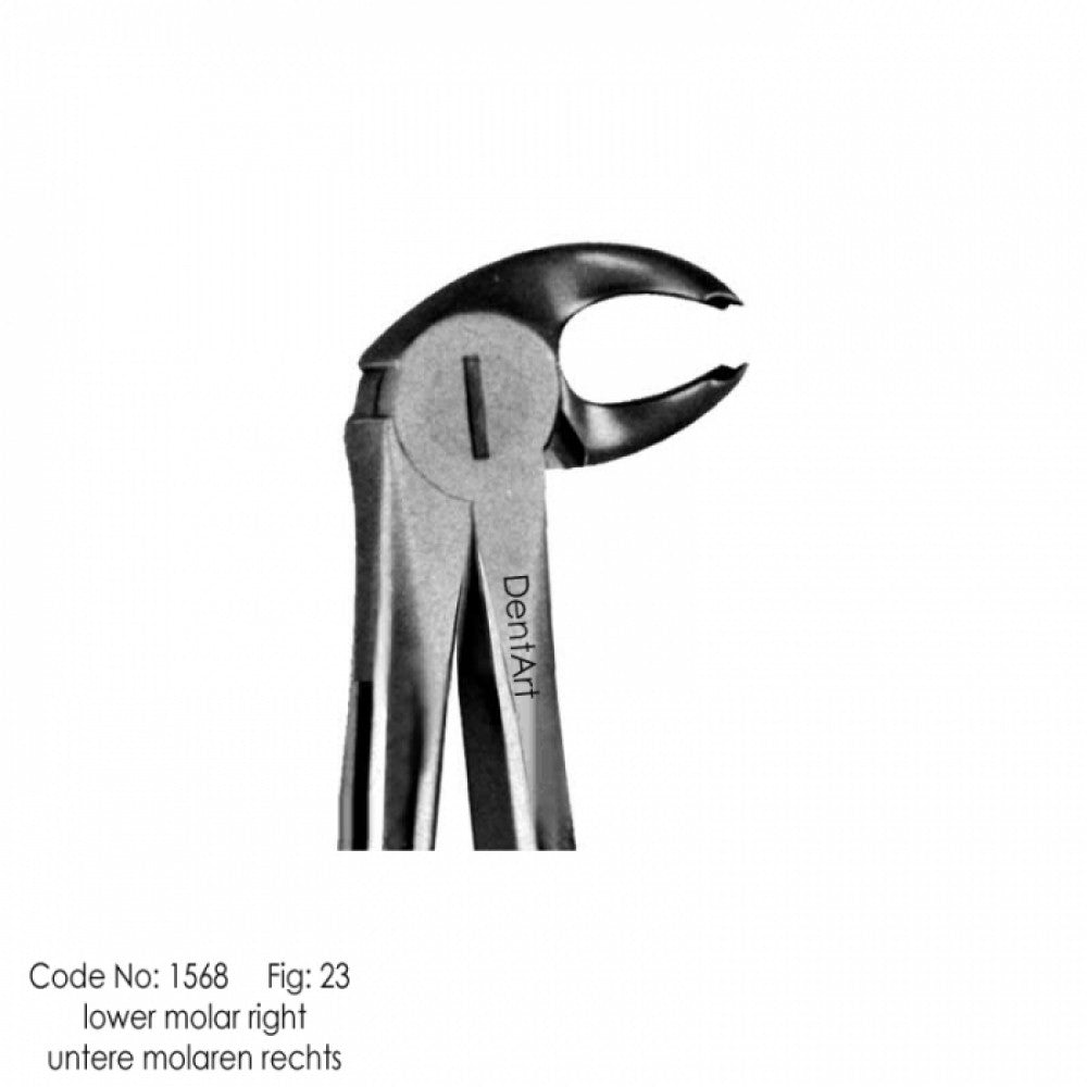 UK type extraction forceps for adult | DentArt