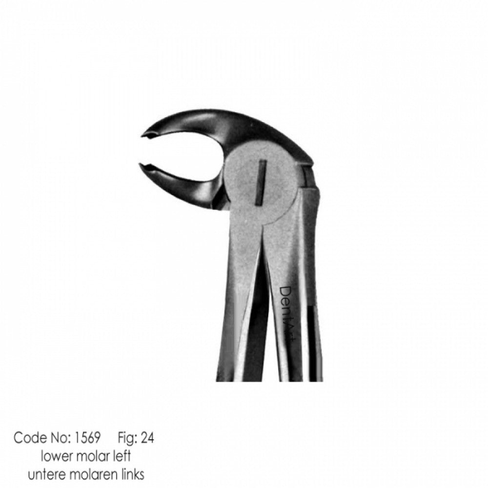 UK type extraction forceps for adult | DentArt