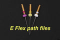 E flex path file