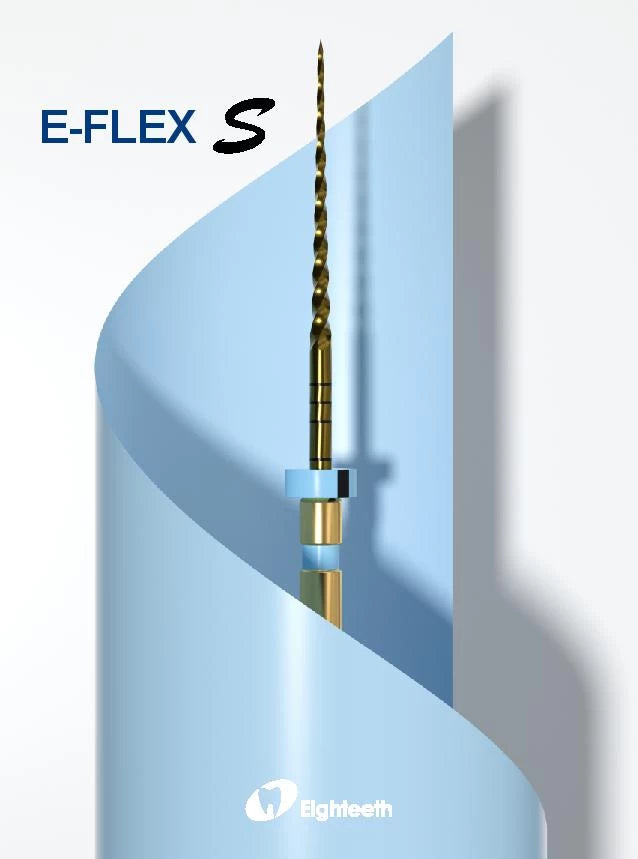E flex S file
