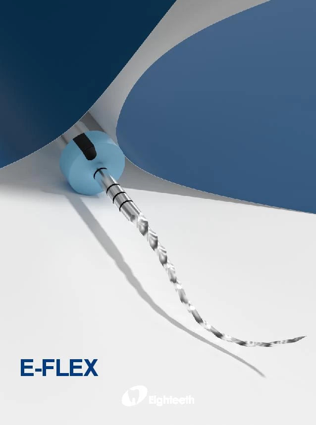E flex file