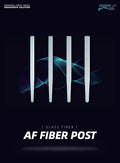 Fanta AF Fiber post