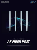Fanta AF Fiber post