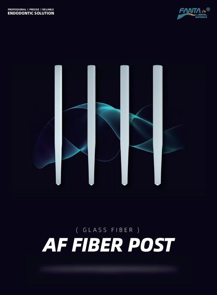Fanta AF Fiber post