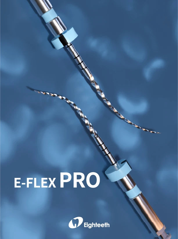 E flex Pro file