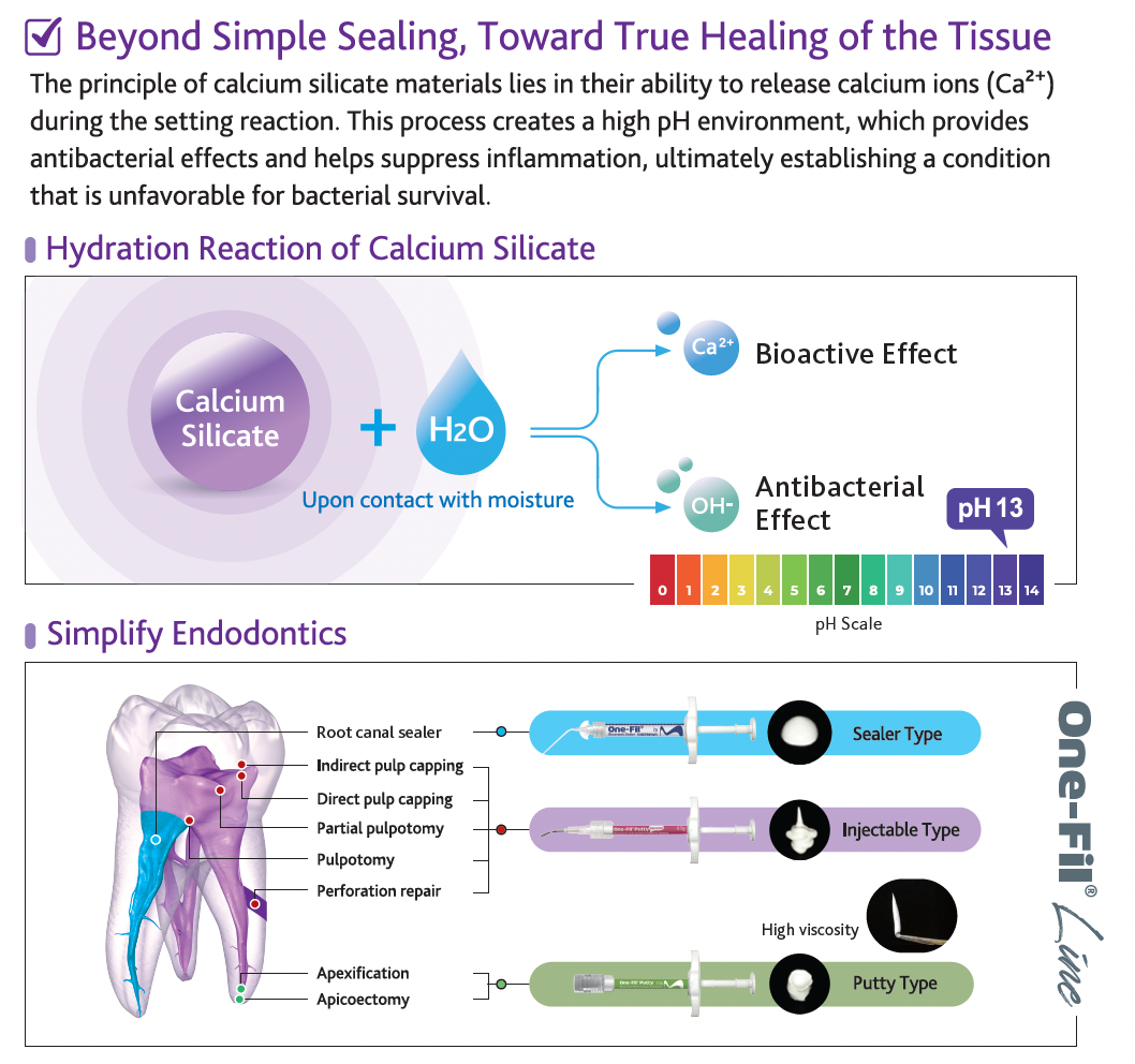 One-Fil® Putty Injectable