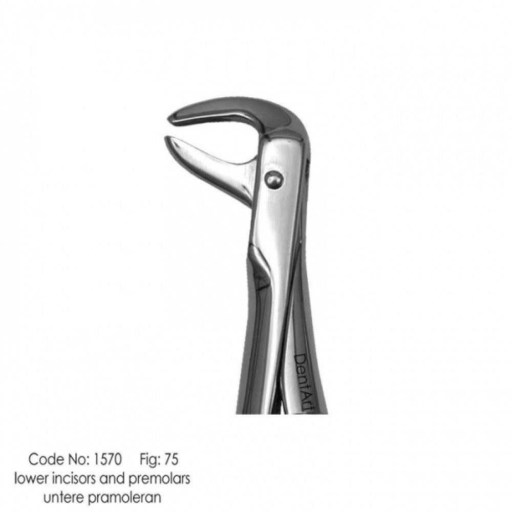 UK type extraction forceps for adult | DentArt