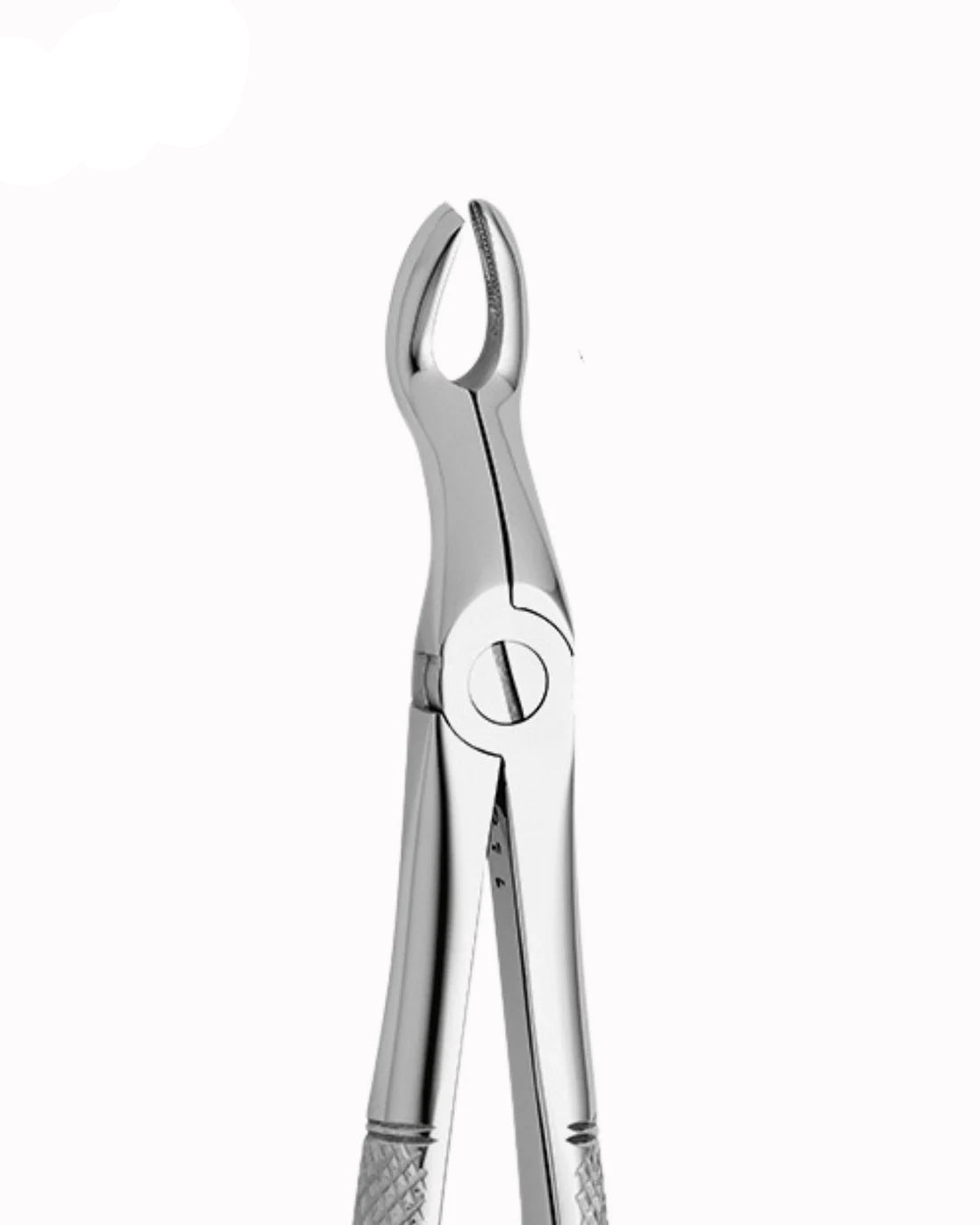 anatomic tooth forceps upper 3rd molar | MEDESY