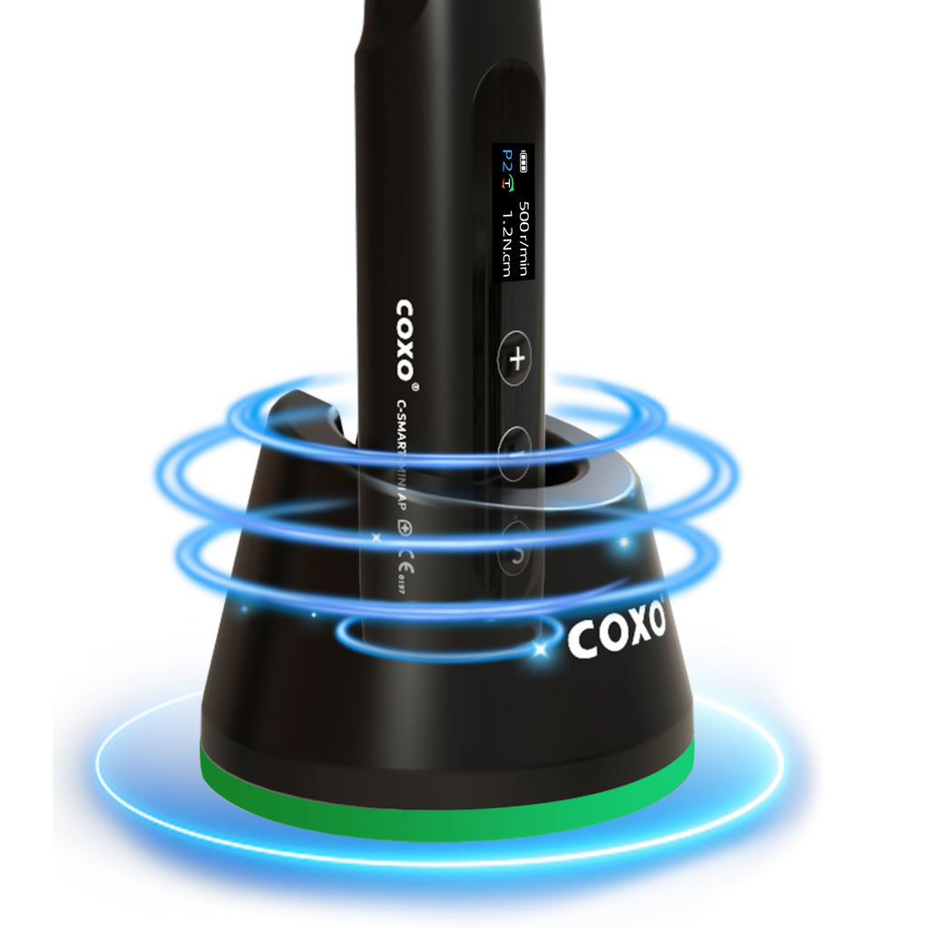 C-SMART MINI AP+ Endo motor