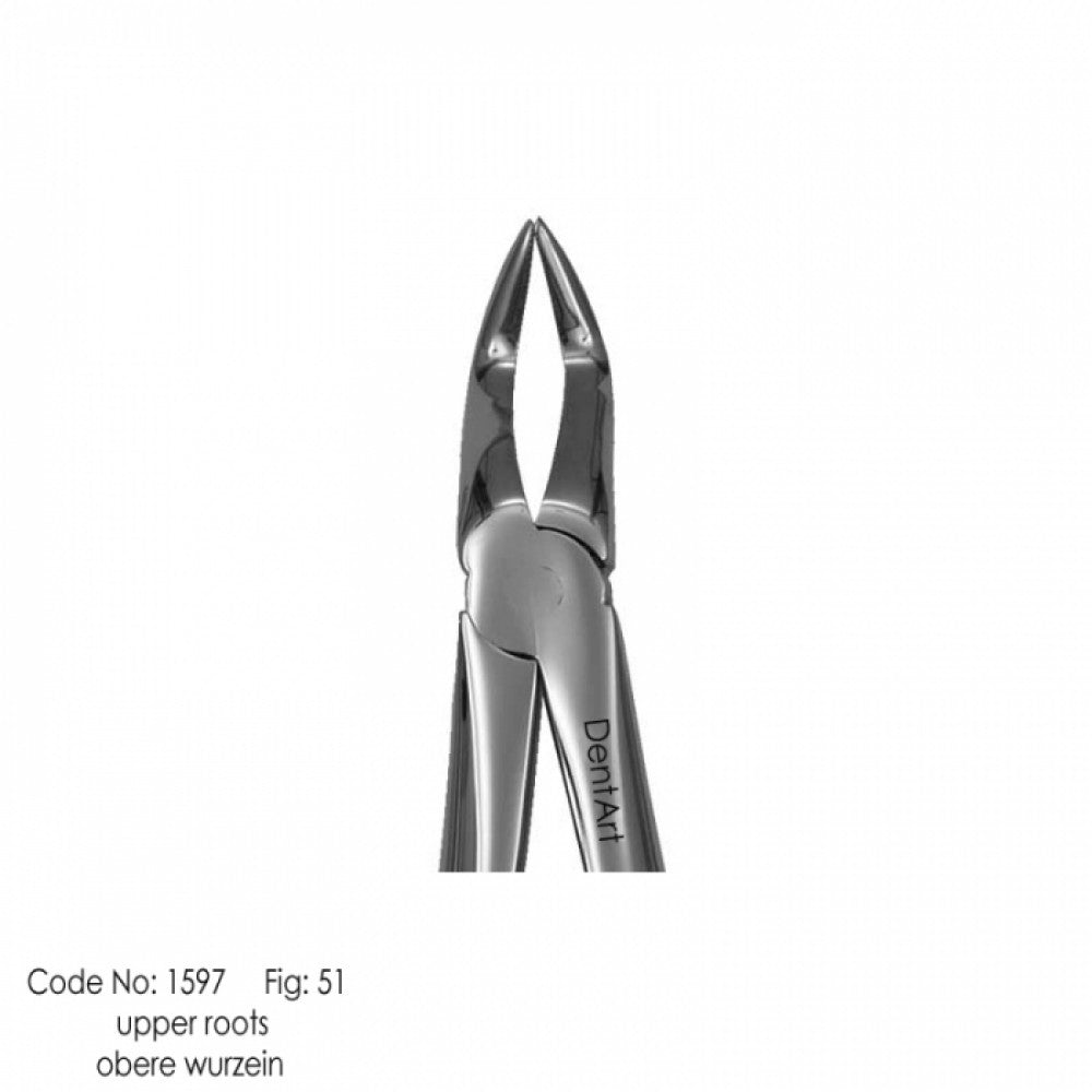 UK type extraction forceps for adult | DentArt