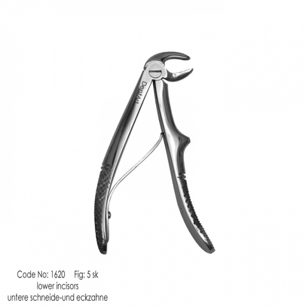 UK type extraction forceps for pedo | DentArt