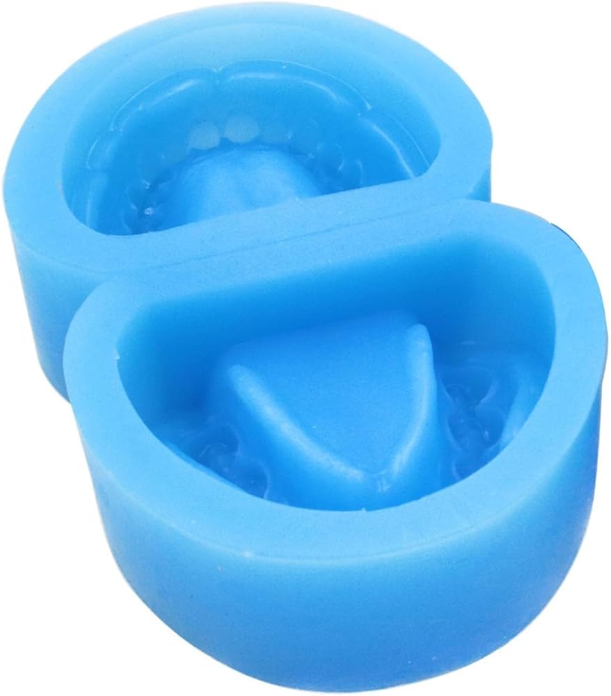 DENTAL PLASTER MODEL MOLD MOULD OF JAW COMPLETE