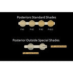 G-ænial posterior Light-Cured Radiopaque Composite Restorative