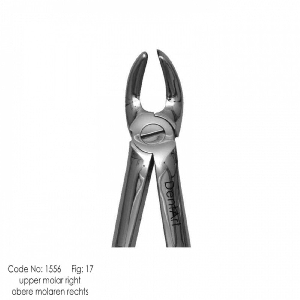 UK type extraction forceps for adult | DentArt