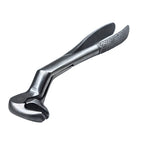Forceps for lower wisdom teeth ( lower 8)  | EXLIN