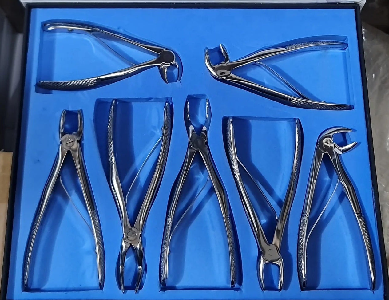 pedo forceps kikt