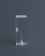 Dental Transparent Endo Training Block