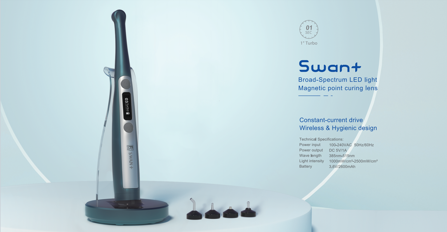 Light Curing Swan - REFINE