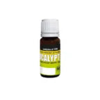 Gutta percha solvent cerkamed EUCALYPTOL