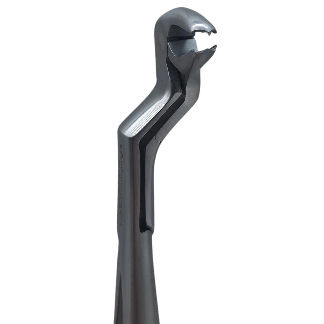 Forceps for lower wisdom teeth ( lower 8)  | EXLIN