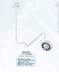 Lamp Ceiling Model