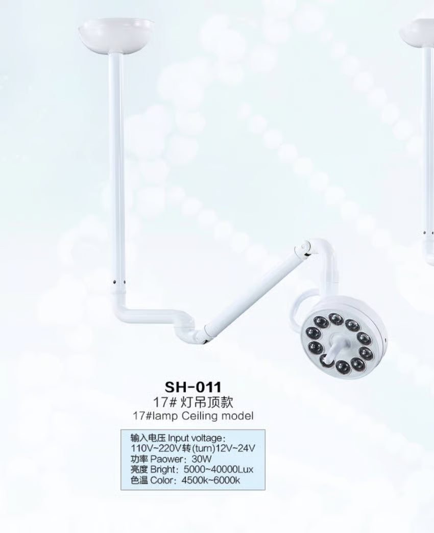 Lamp Ceiling Model