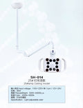 Lamp Ceiling Model
