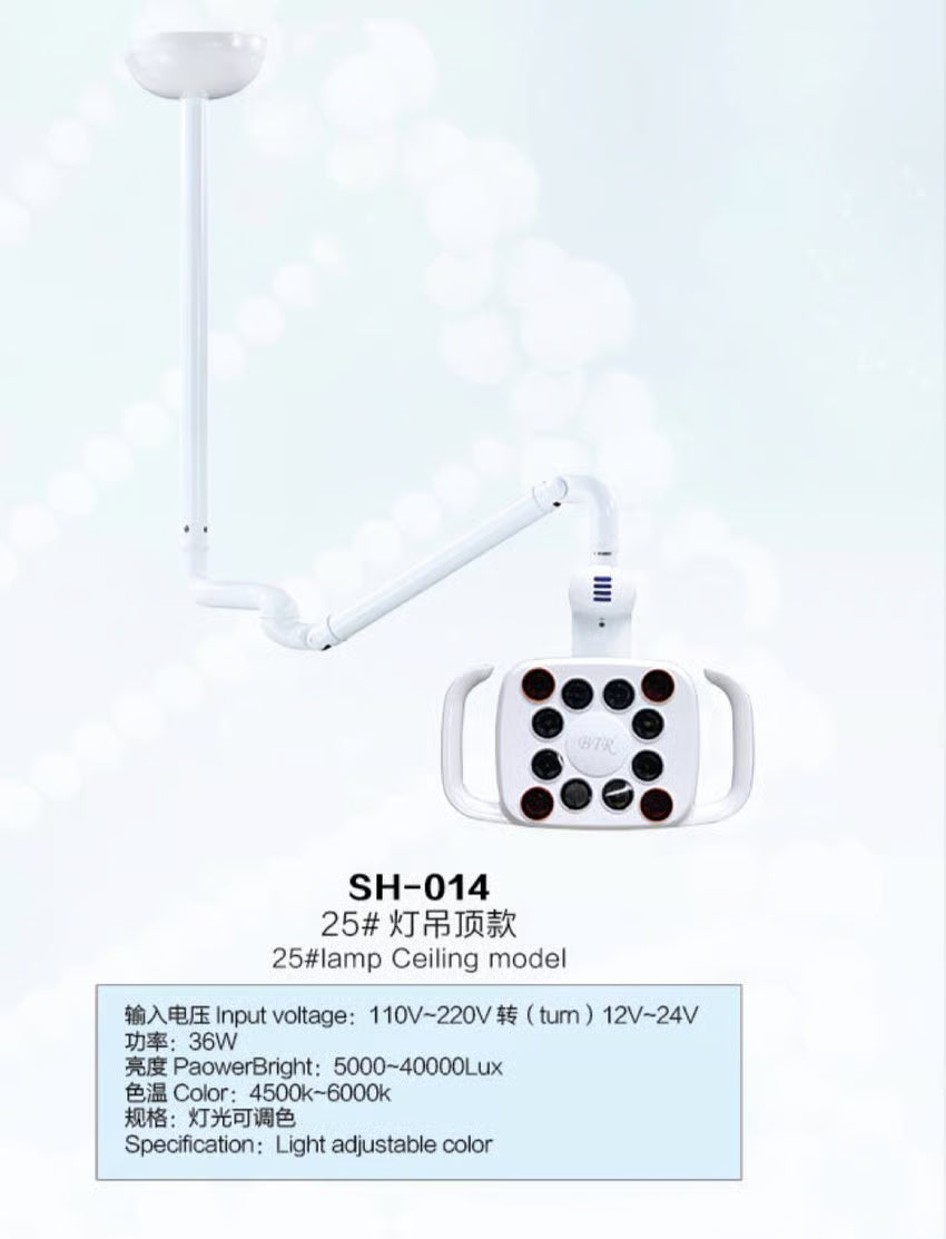 Lamp Ceiling Model