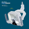 LED Dental Lamp double color temperature