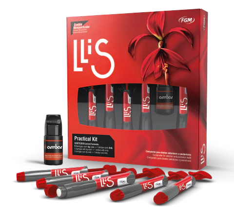 Llis - Composite Resin KIT