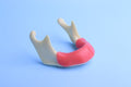 Implant Model | Drilling practice model