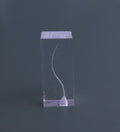 Dental Transparent Endo Training Block