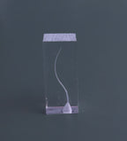 Dental Transparent Endo Training Block