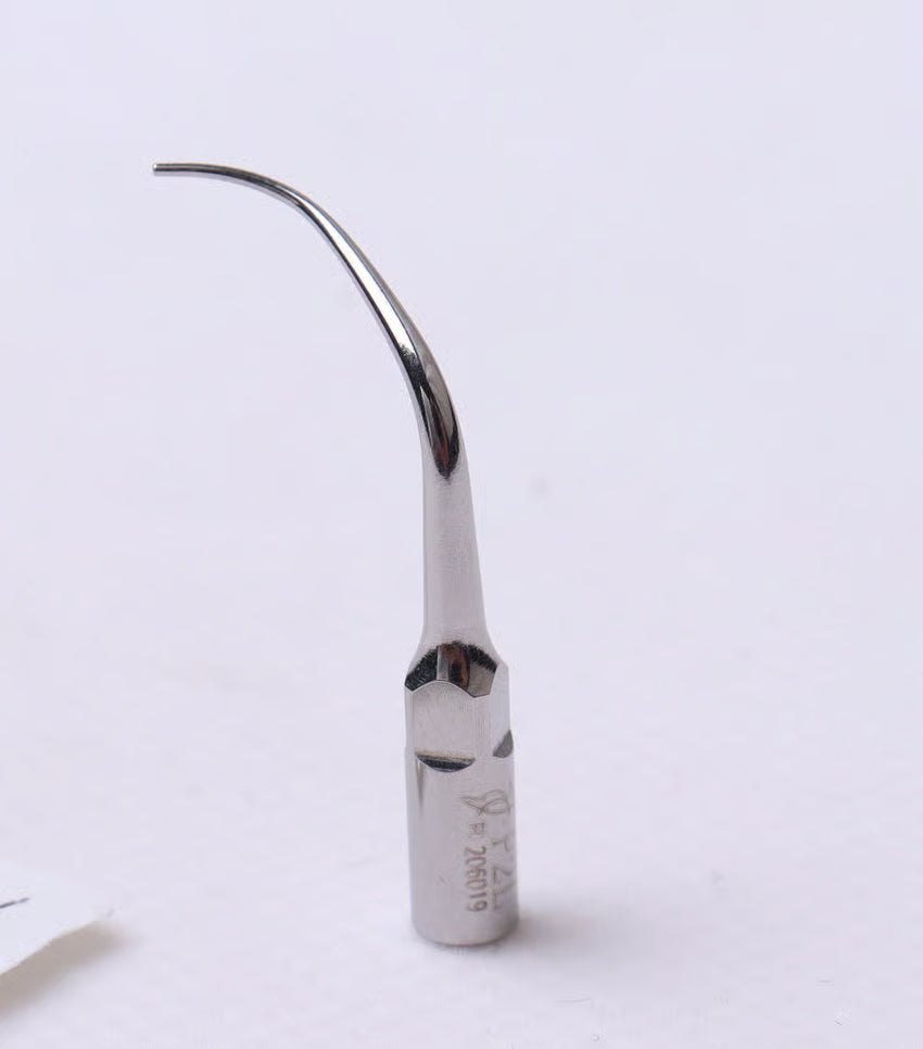 P2L left remove calculus from furcation