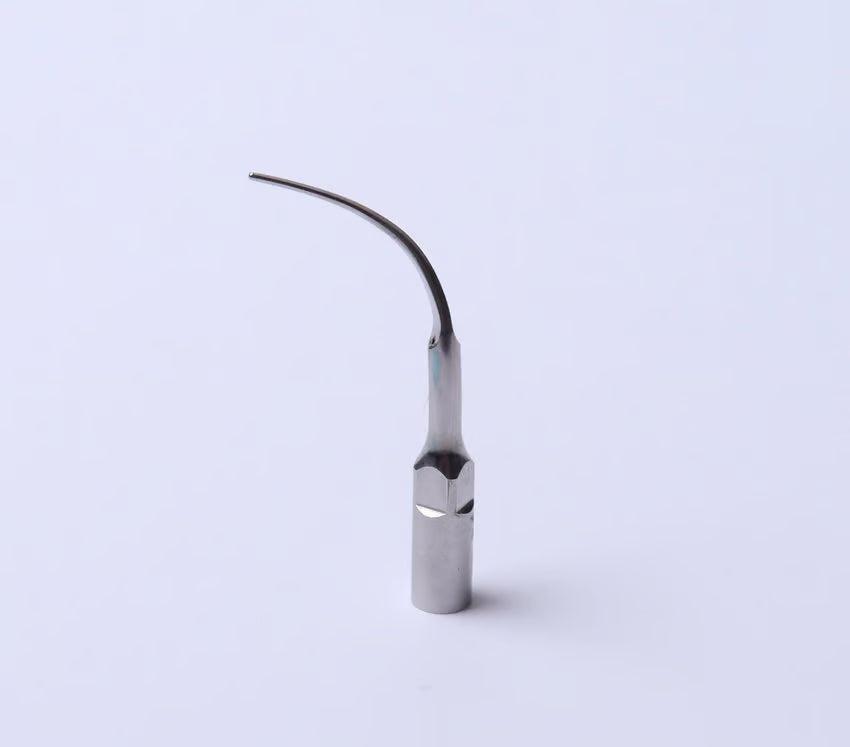 P3R Right angled, used for calculus from furcation