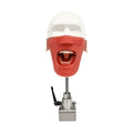 DENTAL TRAINING HEAD MODEL