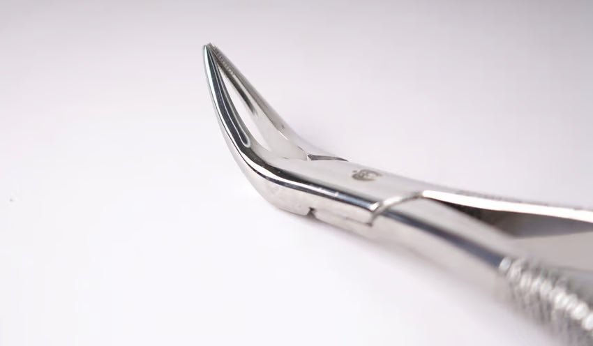 UK type extraction forceps for adult | DentArt