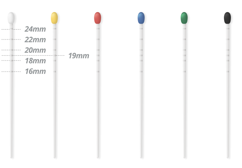 Absorbent Paper Points | META