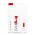 Sanitizer surface s2 5L