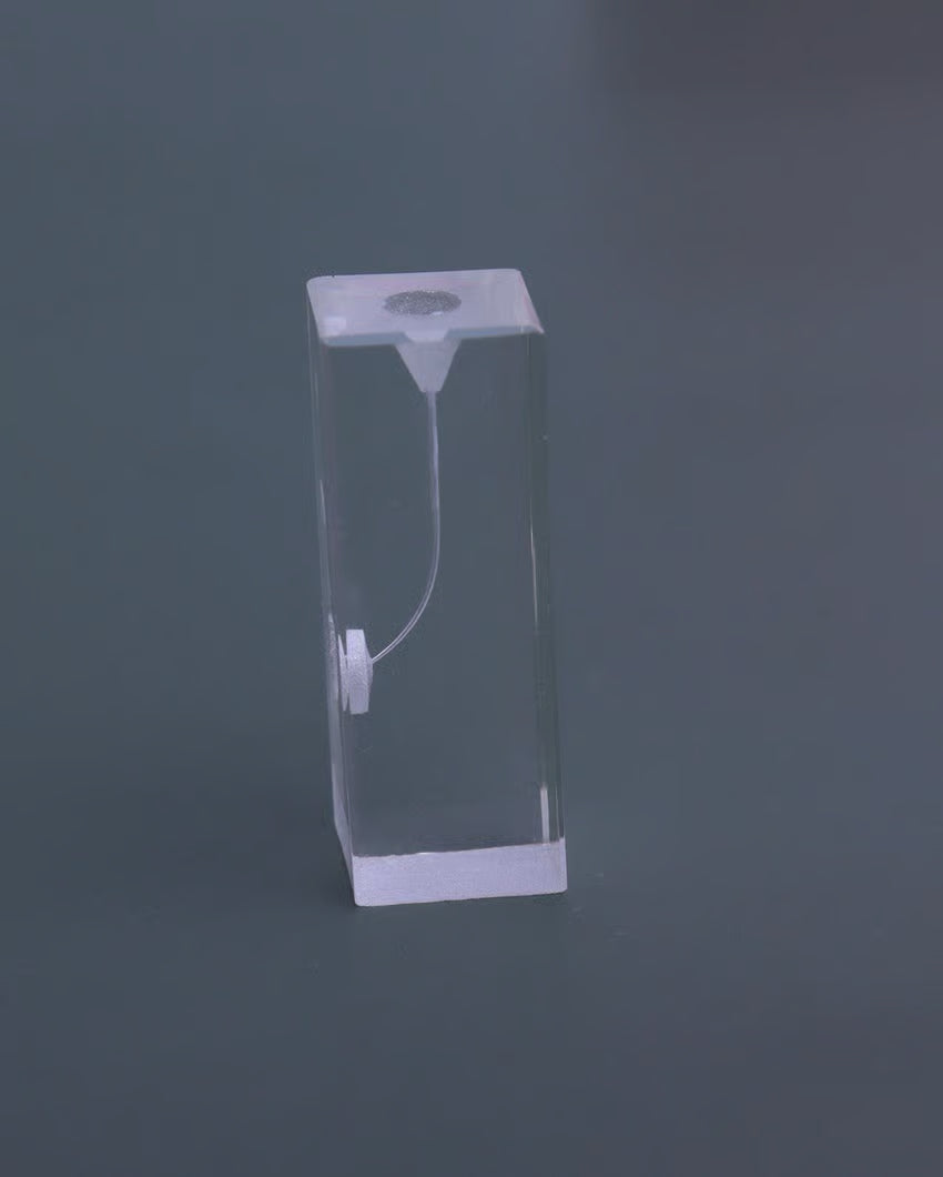 Dental Transparent Endo Training Block