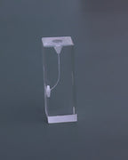 Dental Transparent Endo Training Block