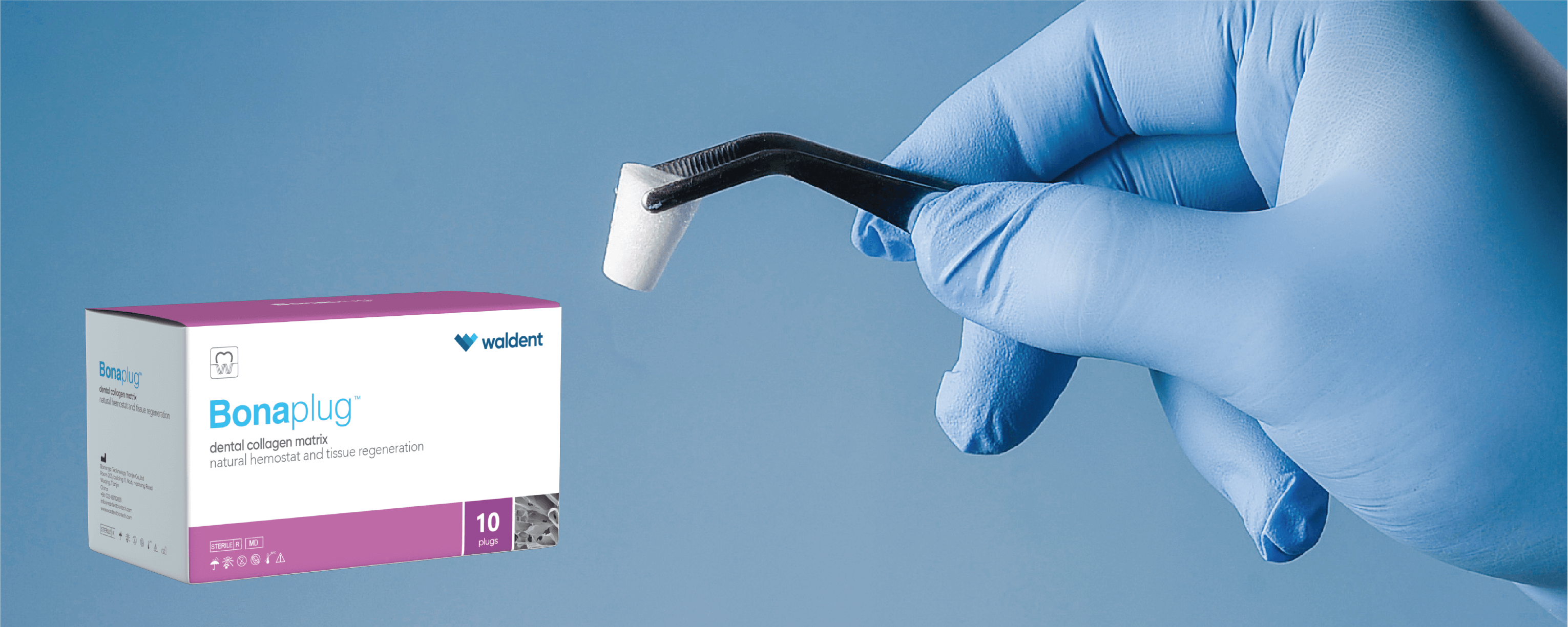 Bonaplug collagen matrix