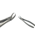 Cowhorn Forceps for Lower | EXLIN