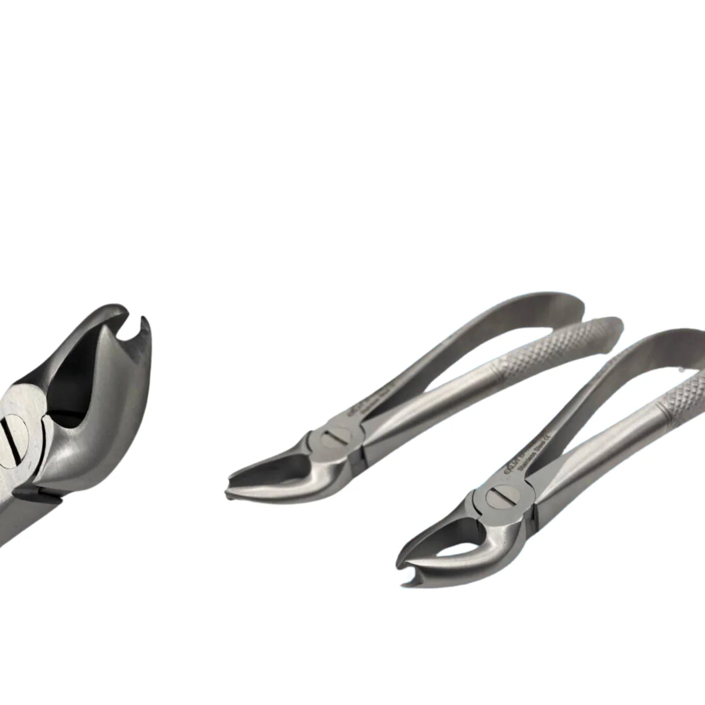 Cowhorrn forceps for upper  | EXLIN