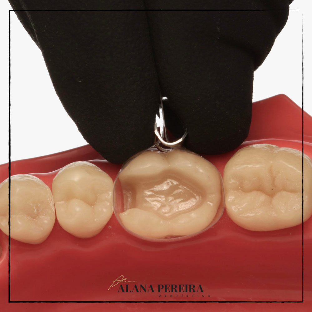 TDV Polyester Matrix